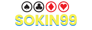 Logo SOKIN99